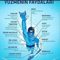 Emre Yazar