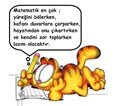 Gülcan K.