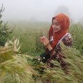 Zahidenur Y.