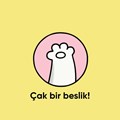 Çak Bir  Beşlik 