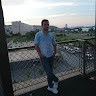 Baykuş .